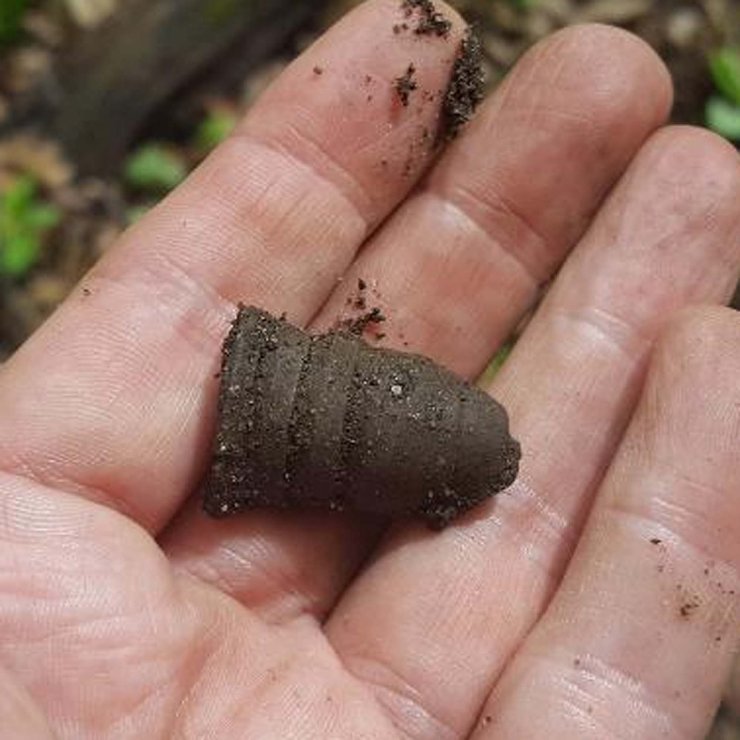 More-Civil-War-Era-Bullets-Found